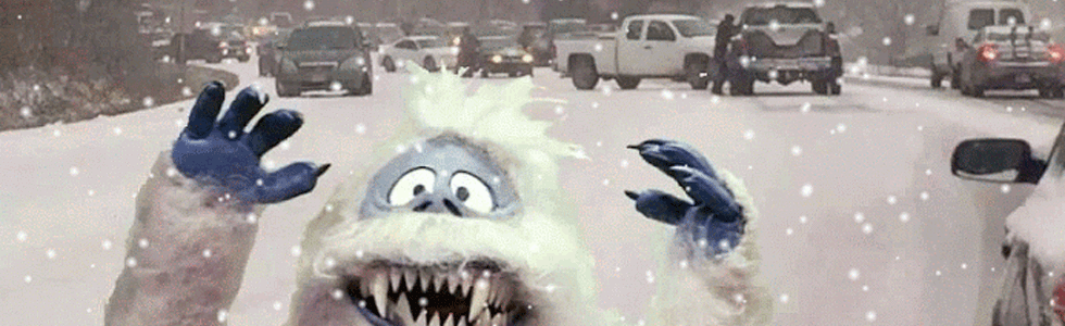 Commercial / Residential Snow Clearing
