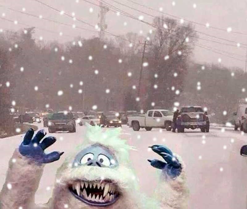 snowMonster800x675